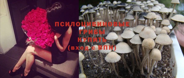 каннабис Алексеевка