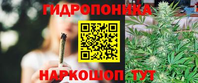 скорость Аша