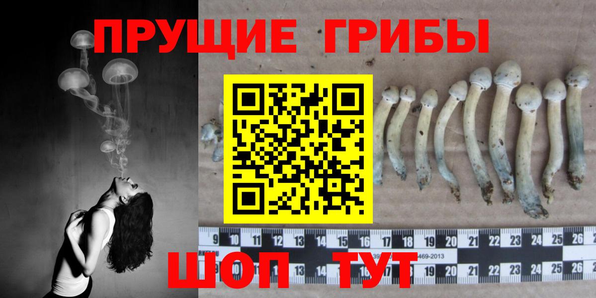 Владивосток  Галлюциногенные грибы Magic Shrooms  Вход с VPN 