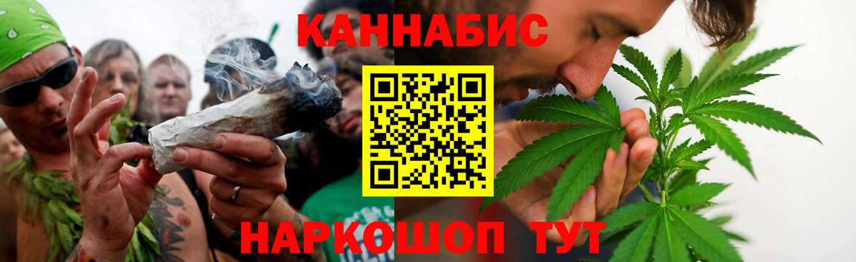 Канабис OG Kush Владивосток